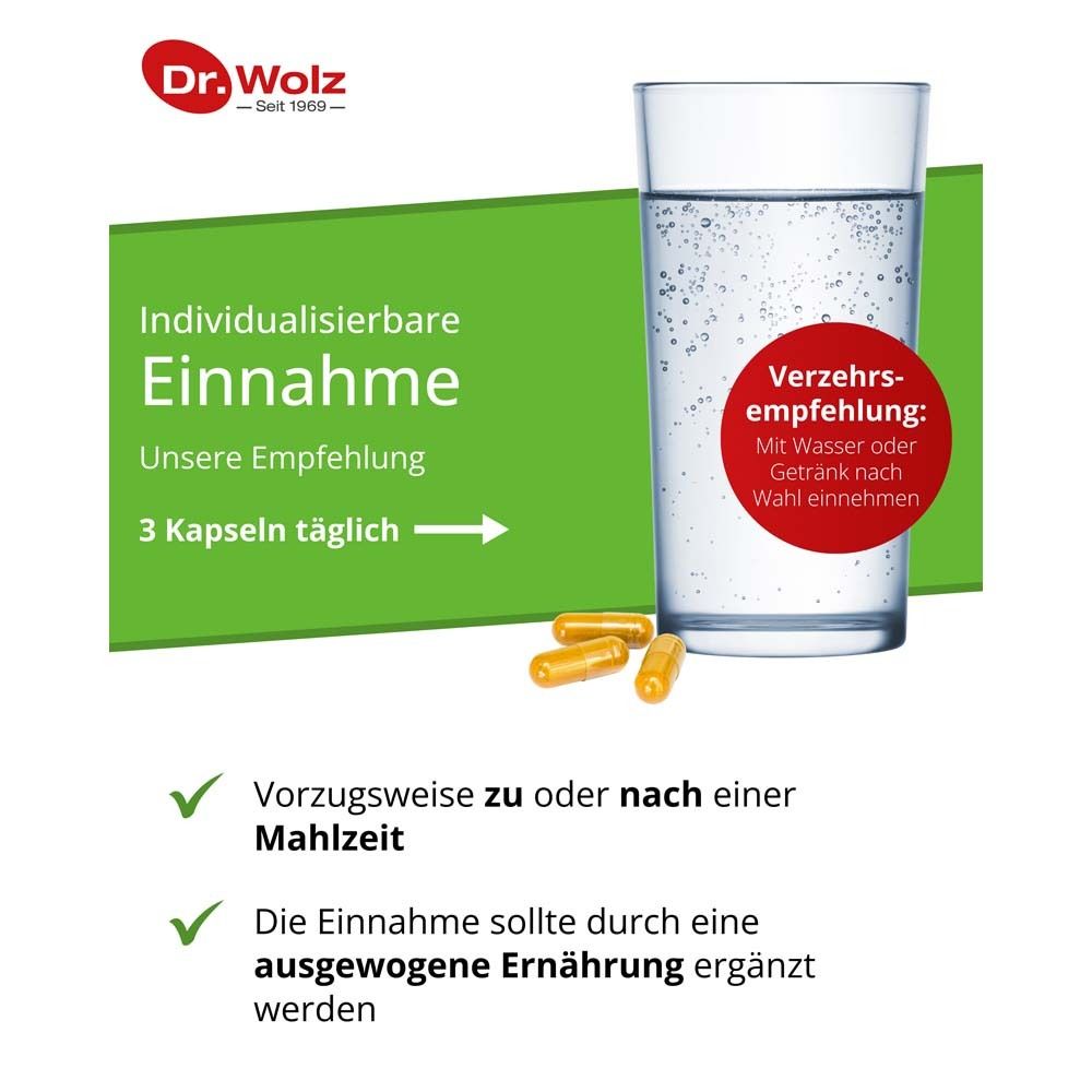 Curcumin Extrakt 45 Kapseln