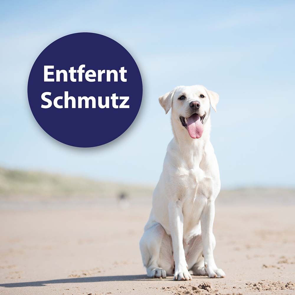 Canosept® Ohrenpflege Finger-Pads für Hunde