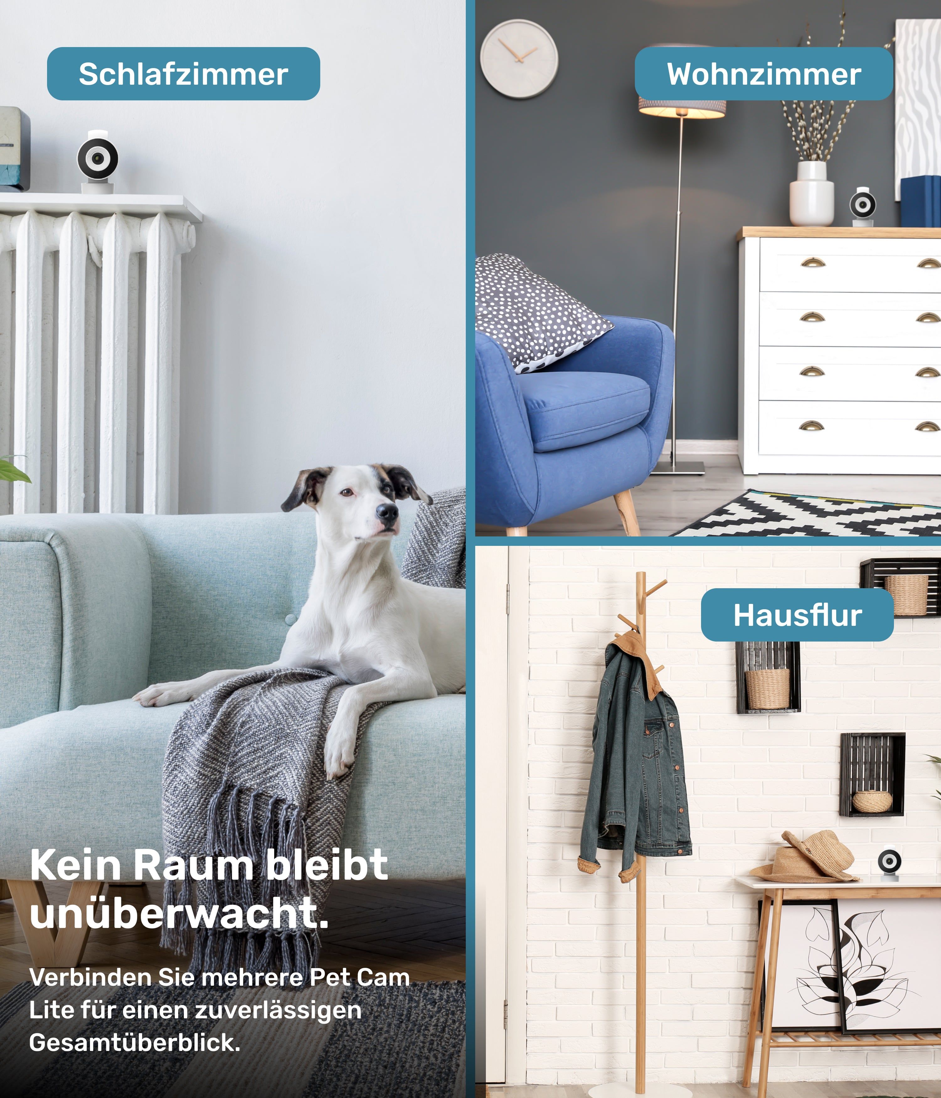 PetTec Haustierkamera Lite für Hunde