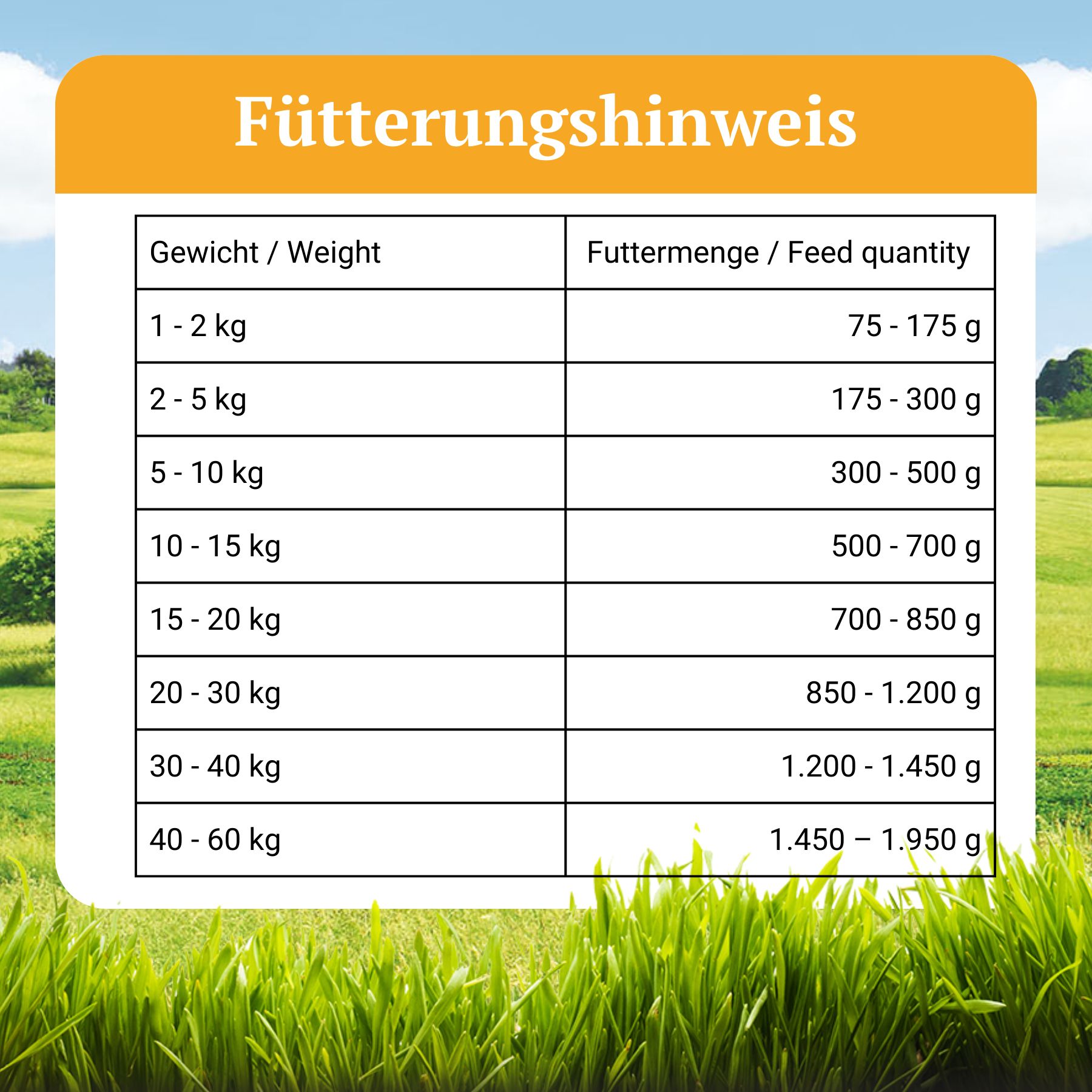 Bellfor Hypoallergenes Hundefutter Nass mit Insekten Getreidefrei - Landgut-Menü
