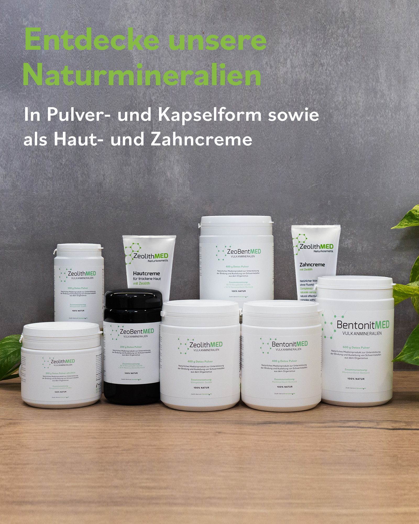 Zeolith MED Detox Pulver